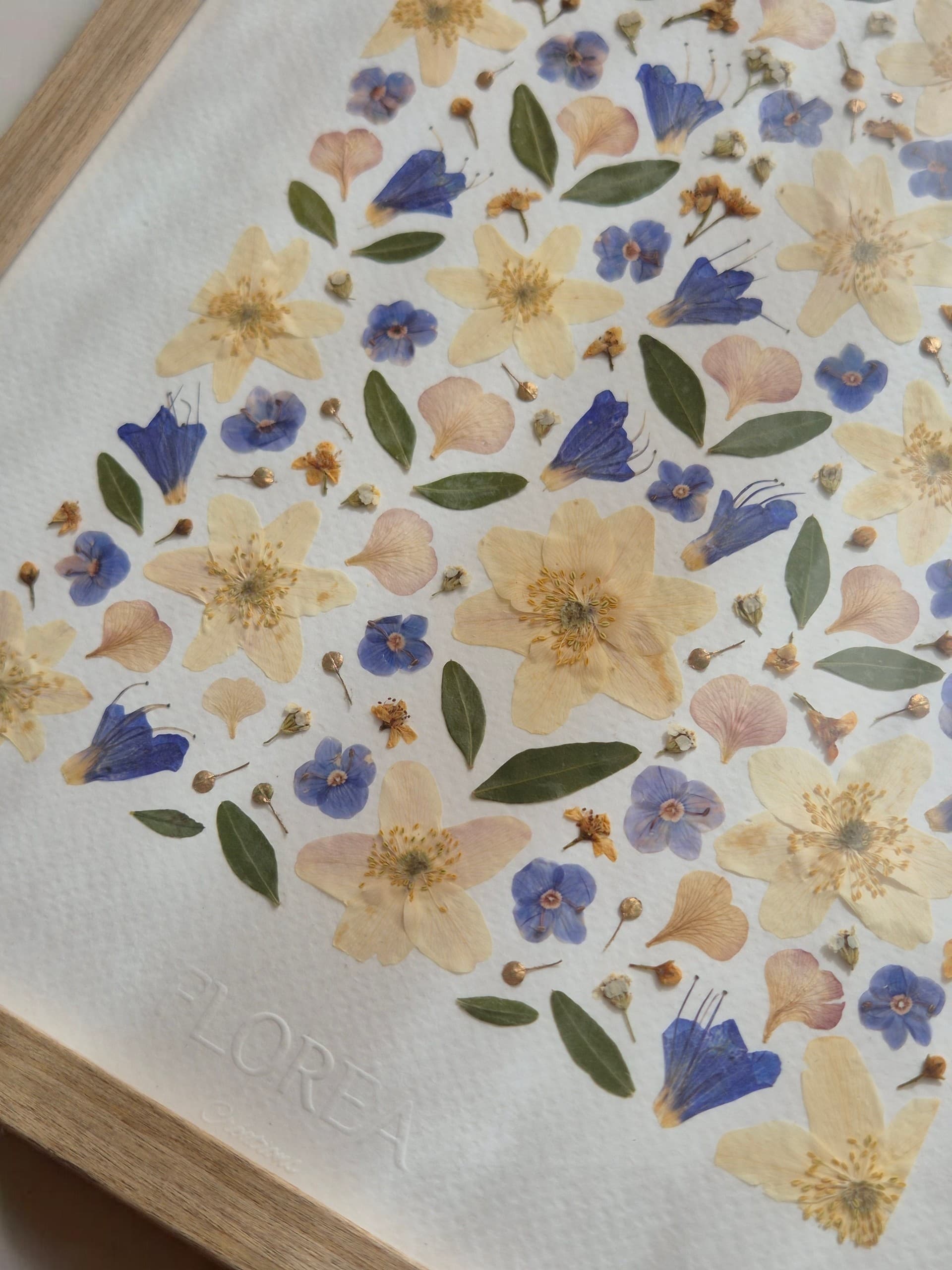 Herbier Soupir