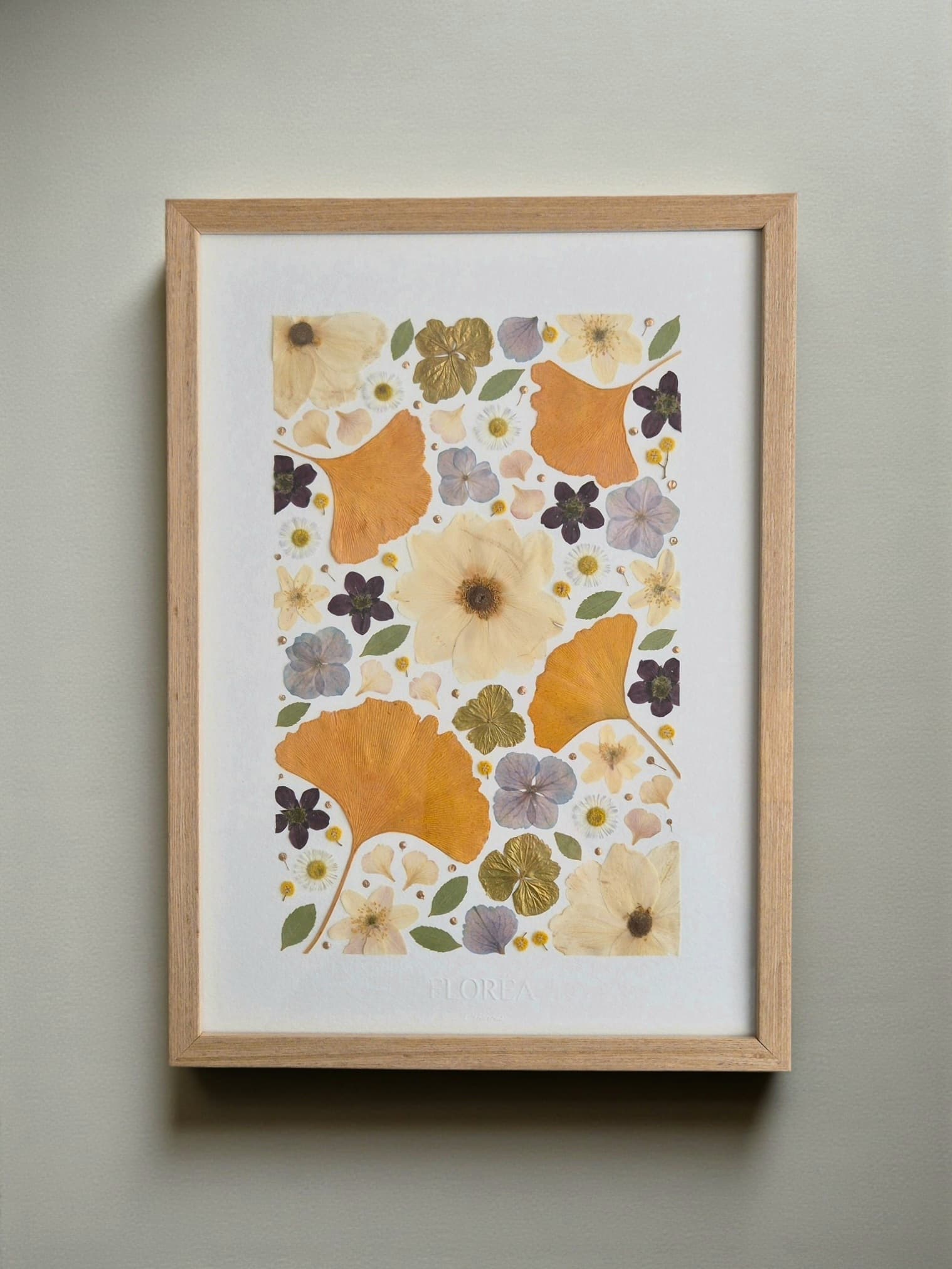 Herbier Ginkgo (rectangulaire)