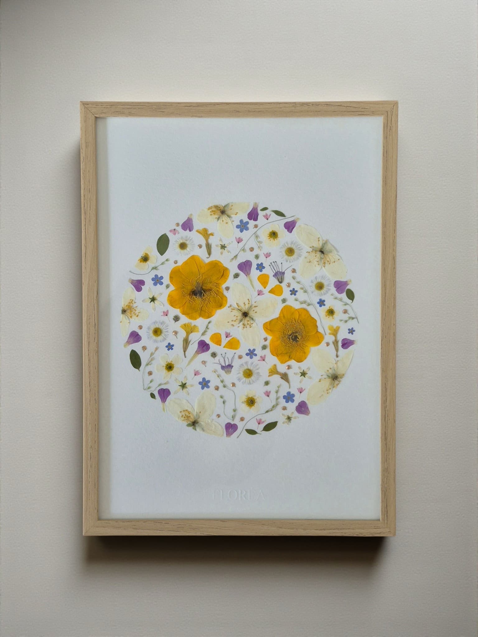 Herbier Lunora