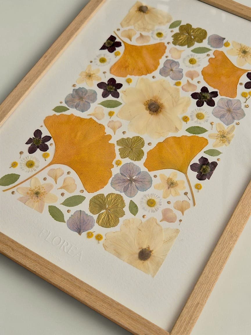 Herbier Ginkgo (rectangulaire)