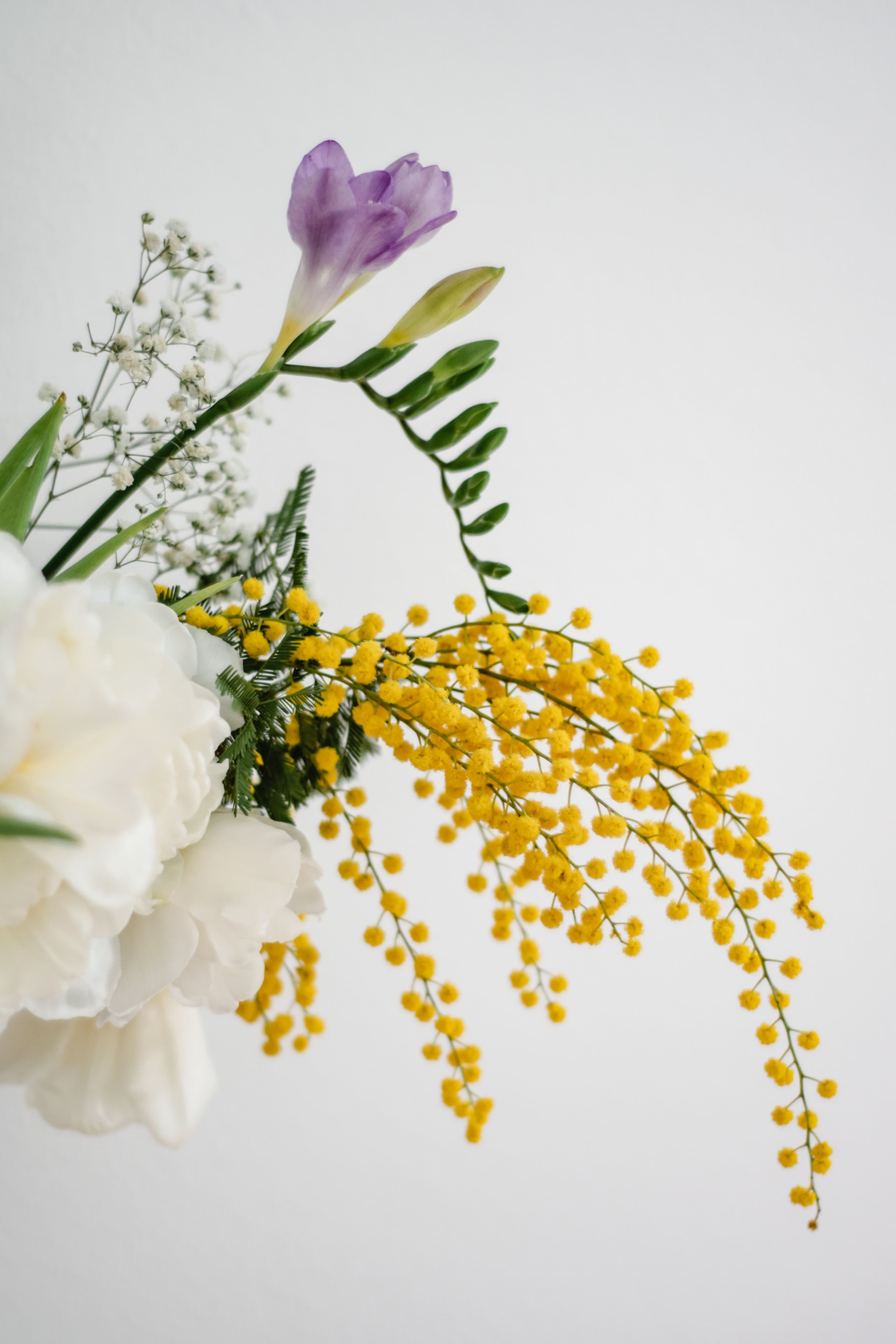 Herbier encadré réalisé à partir d'un bouquet